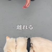 ついつい逃げちゃう♡