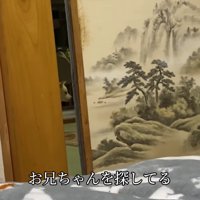 廊下でキョロキョロするはるちゃん