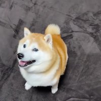 ぬくぬくのカーペット！！