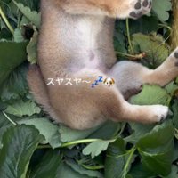 カゴの中にいたのは…