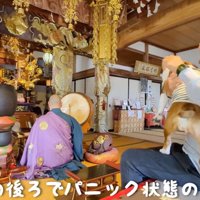 住職がお経を唱える後ろで妹犬を宥める男性