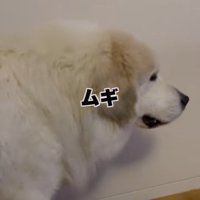 すぐに前を向いて…