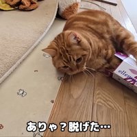自力で頭を抜いたと思ったら…
