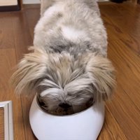 いつも通り食欲旺盛！