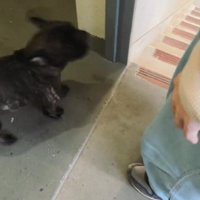 「抱っこして～」