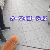 思った以上にべた褒め