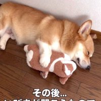 いびきをかいて熟睡中