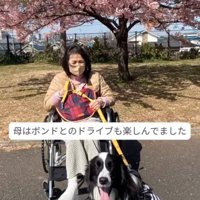 桜の木をバックに写真撮影