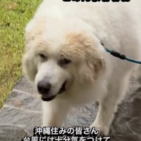 無事家に到着