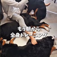 忙しいけれど幸せそう♡