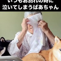 タオルで目元をおさえる人と2匹の犬