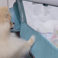 赤ちゃんがベッドから離れても…