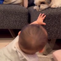 赤ちゃんが大好きなピコちゃん3