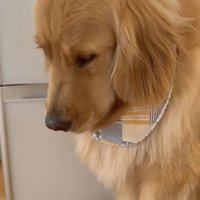 「びょう…いん…？？」