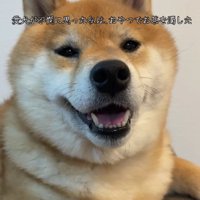 笑顔に戻った♡