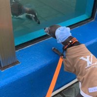 おでかけが大好き♪