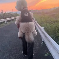 親子のような光景にホッコリ