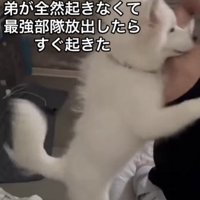 容赦ない姿に爆笑！！