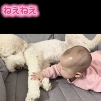 優しくトントン