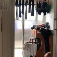 ズボンを引っ張るりゅっくちゃん