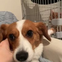 やっぱり被害者面（笑）