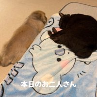 普段から仲良しです
