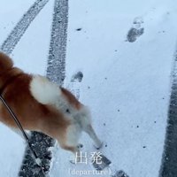 お母さんのお迎え