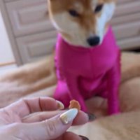 身動きひとつしない！！