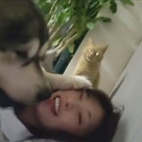 「なんで猫が先なの！！」
