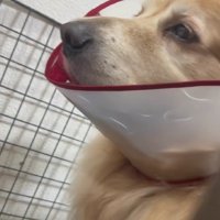 さらに後ろにバルドちゃんが！！