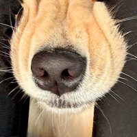 後部座席を見ると…