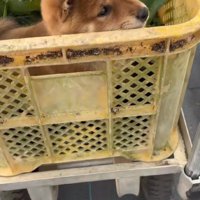 お利口な赤ちゃん