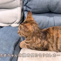 眠くてウトウト…