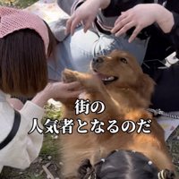 あざとさ、全開！