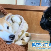 ももちゃんは無視！
