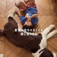 ププくんと女の子の日常2