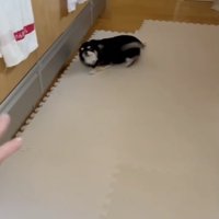 横向きのほふく前進状態