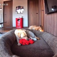 「ママはいつ帰るんだろう…」