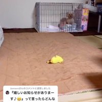 「とりあえず、ここで聞くけどさ…」