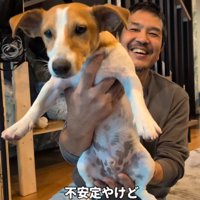 犬を抱き上げる男性