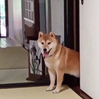 現在はデビューしてます♪