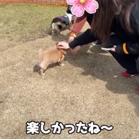 撫でてもらえました♡