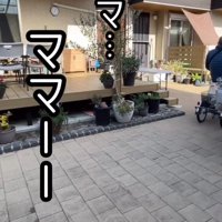 年配男性が運転する電動式三輪車のカゴに乗って、女性に助けを求める犬