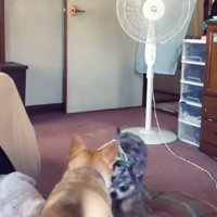 どうしたどうした？