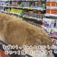 乗り物大好きな3人は…