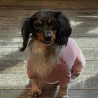 ボロボロの体を非難されて…