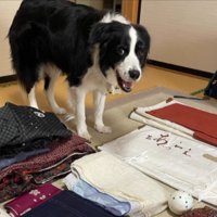ボール