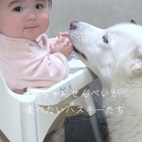 おせんべいが欲しい諭吉くんと英吉くん