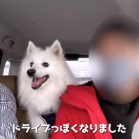 嬉しいぽてちゃん