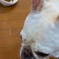 「ご飯の残りは！？」